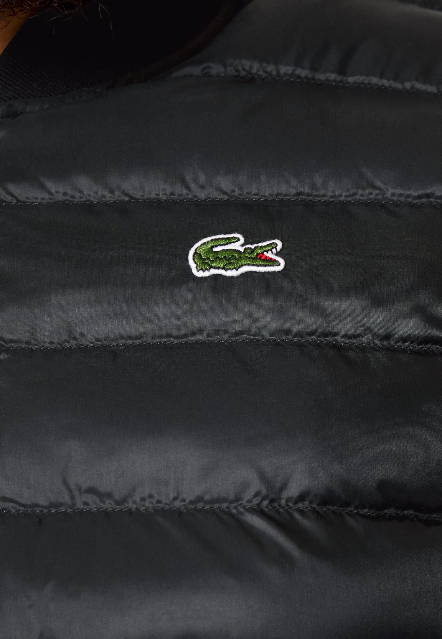 Lacoste Bodywarmer - Black 5 Lacoste Bodywarmer - Black - Afbeelding 5