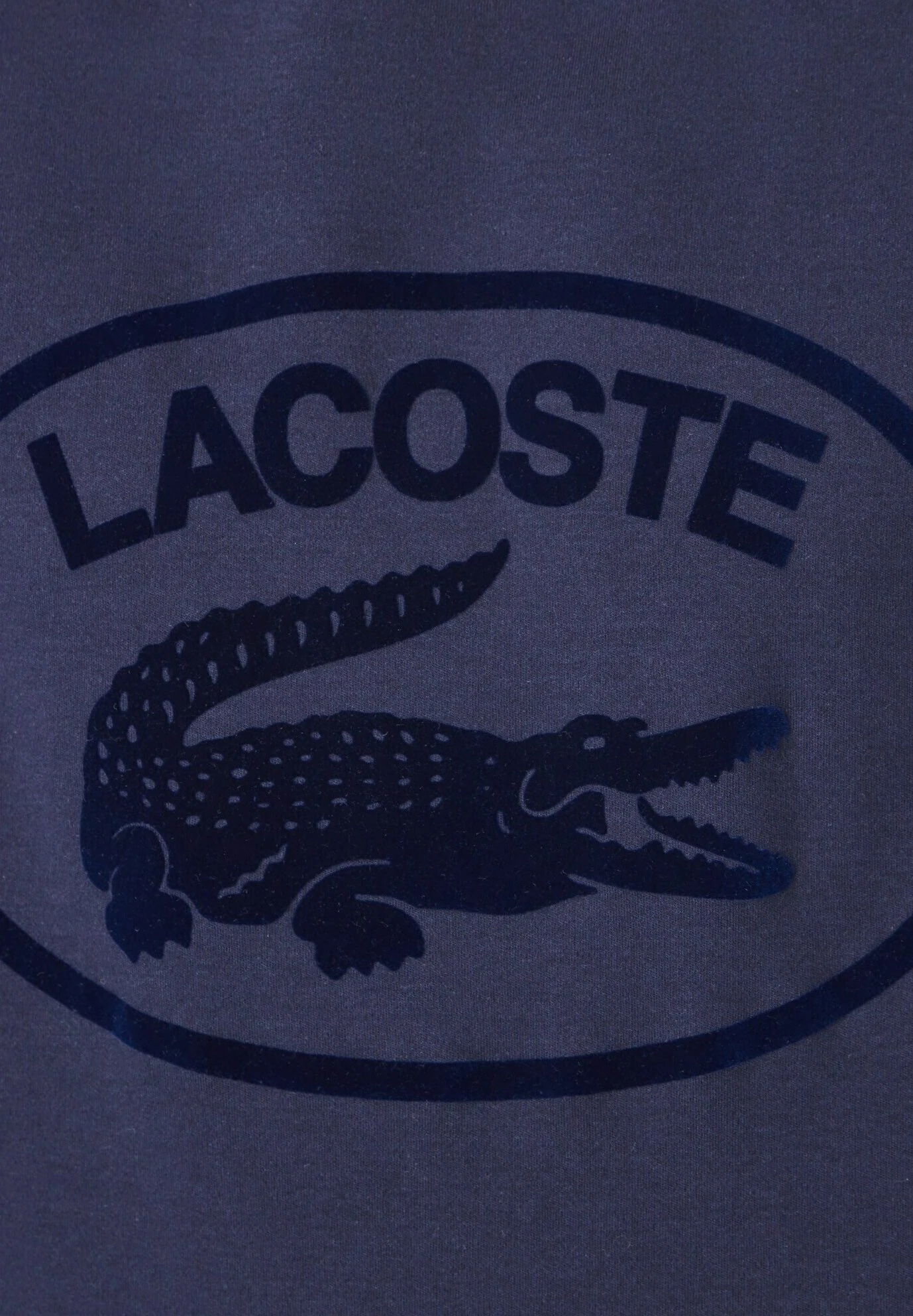 Lacoste T-Shirt Print - Bleu Marine 6 Lacoste T-Shirt Print - Bleu Marine - Afbeelding 6