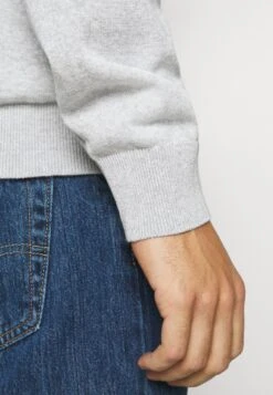 Lacoste Trui - Argent Chine 9 Lacoste Trui - Argent Chine -Lacoste 9ec71a971dc34621b9c8f793350f3a35