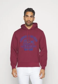 Lacoste Sport Golf Sport Club Hoody - Hoodie - Zin