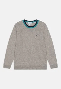 Lacoste Trui - Silver Chine/Multi-Coloured