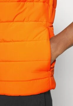 Lacoste Sport Bodywarmer - Black/Celosia 12 Lacoste Sport Bodywarmer - Black/Celosia -Lacoste d5b3091f22794be68b3419bf52c804f5