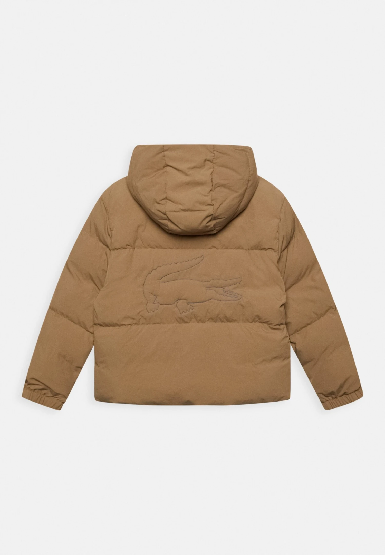 Lacoste Winterjas - Leafy/Marina 2 Lacoste Winterjas - Leafy/Marina - Afbeelding 2